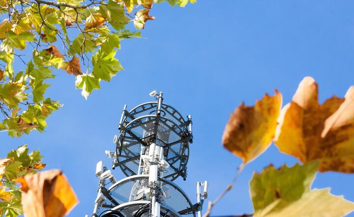 Francja. Radna popiera niszczenie masztów 5G