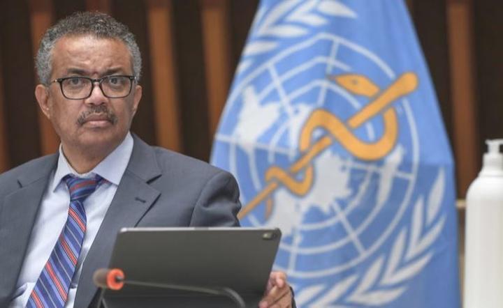 Tedros Adhanom Ghebreyesus, szef WHO / autor: PAP