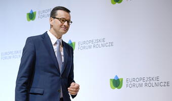 Kosiniak-Kamysz mógł jedynie przyznać rację premierowi Morawieckiemu