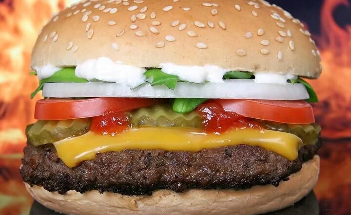 Hamburger  / autor: Pixabay 