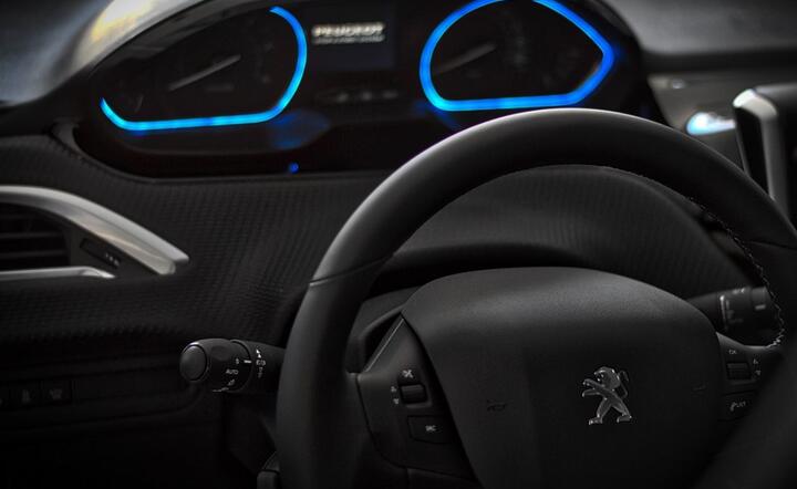 Wnętrze Peugeot / autor: Pixabay.com