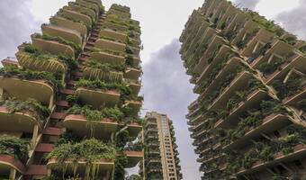 GALERIA. Chengdu: leśne wieżowce pełne… komarów