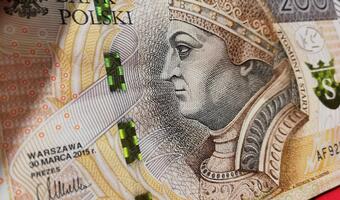 Ponad 20 proc. potrzeb pożyczkowych na 2024 r. zostało sfinansowane