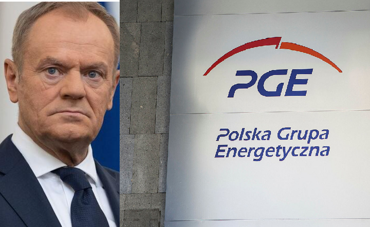 Premier Donald Tusk / autor: Fratria