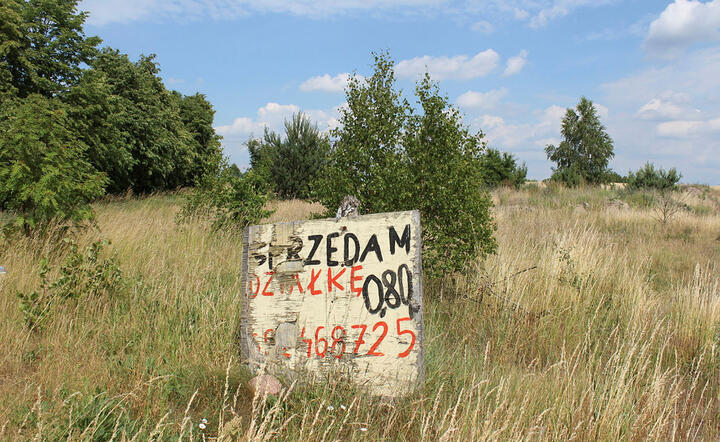 działka / autor: Fratria