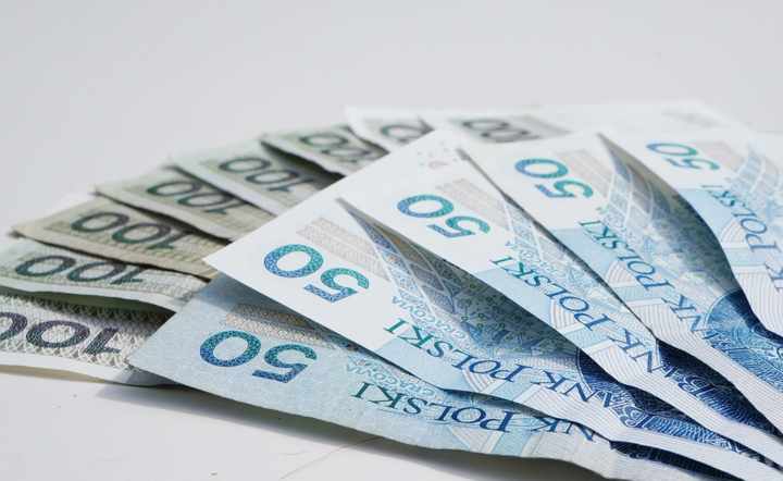 Ranking podwyżek płacy minimalnej.  / autor: Pixabay