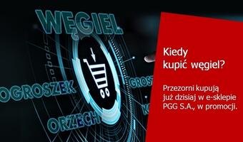 Rewolucja w sklepie internetowym PGG S.A. i rewolucja na rynku węgla opałowego
