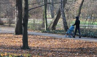 NFOŚiGW: 16 mln zł na rewitalizację trzech parków w stolicy