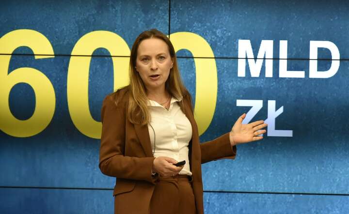 Minister funduszy i polityki regionalnej Katarzyna Pełczyńska-Nałęcz / autor: Fratria / LK