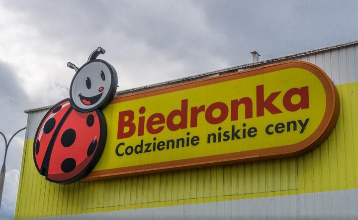 Biedronka / autor: Fratria