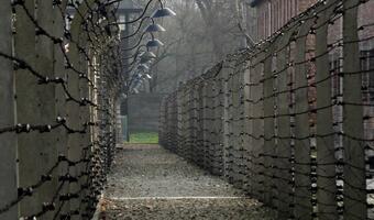 Niemcy. „Stern”: Witold Pilecki udał się do piekła Auschwitz