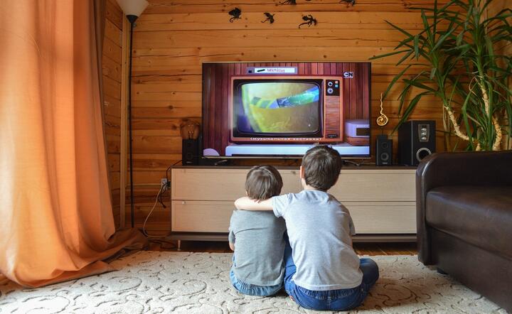 W pierwszym półroczu wzrosły zyski TVP / autor: pixabay.com
