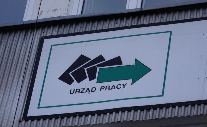 Urząd Pracy / autor: Fratria