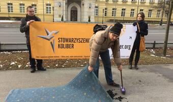 O zamiataniu węgla pod dywan
