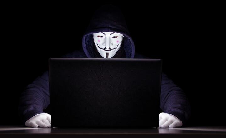 Anonymous / autor: fot. Pixabay