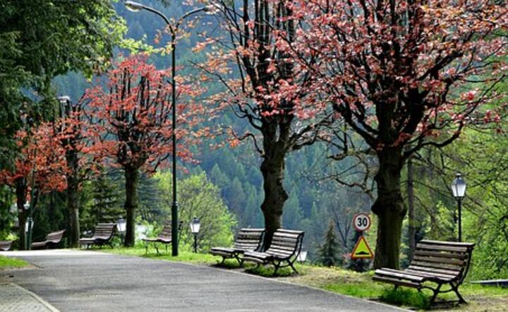 Szczawnica Zdrój, fot. Pixabay