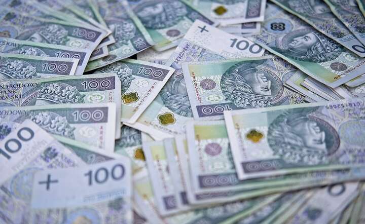 Złoty był jedną z ofiar globalnego pogorszenia sentymentu do ryzyka / autor: Pixabay