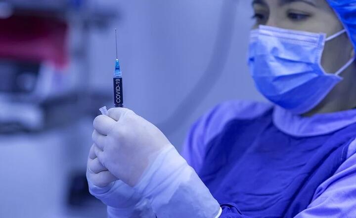 Łącznie od początku epidemii w wyniku COVID-19 zmarło już 58 176 pacjentów, a wykryto w sumie 2 552 898 zakażeń / autor: Pixabay