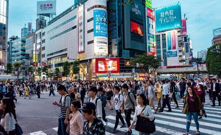 Japonia  / autor: Pixabay 