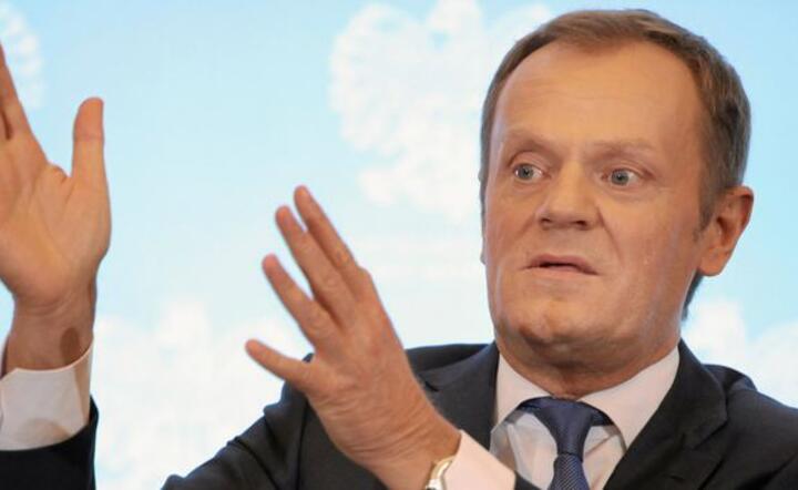 fot. Internet