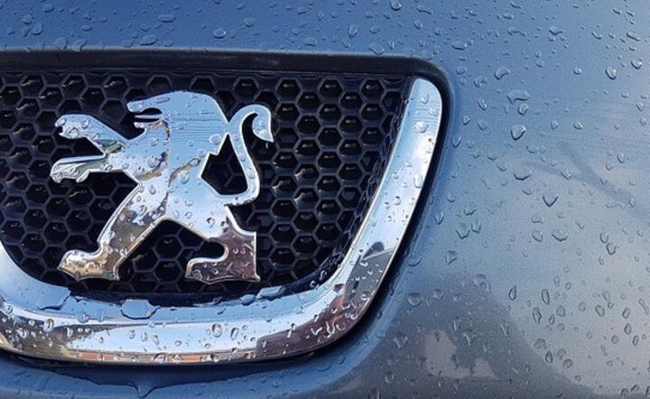 Peugeot / autor: Pixabay