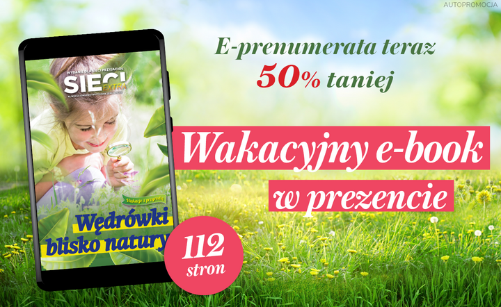Idealny e-book na wakacje / autor: Fratria