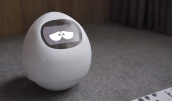 TYLKO U NAS: Roboty umożliwiały podglądanie gości hotelowych WIDEO