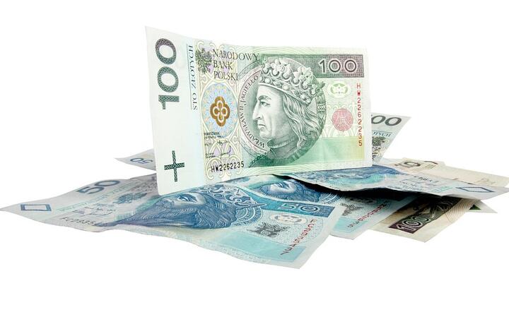 Obniżona stawka podatku CIT w wysokości 9 proc. dotyczy tych podatników, których przychody nie przekroczą w roku podatkowym 1,2 mln euro / autor: fot. Pixabay