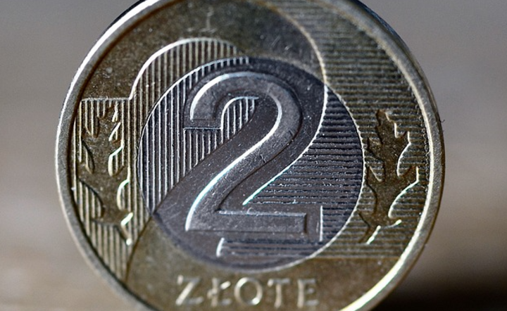Pieniądz / autor: Pixabay
