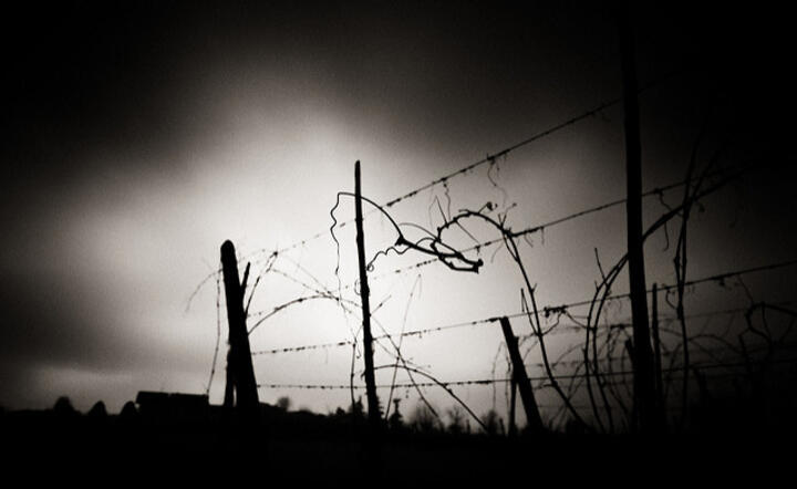 autor: flickr
