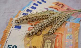 Premier Ukrainy: Wpłyneło do nas 2 mld euro pomocy od UE