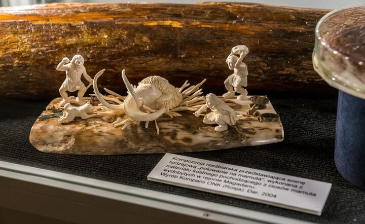 Prehistoria / autor: fot. Fratria