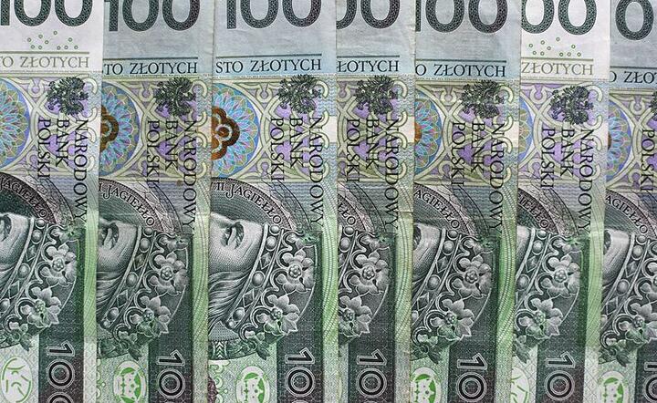 Banknoty / autor: Fratria/Mateusz Zelnik