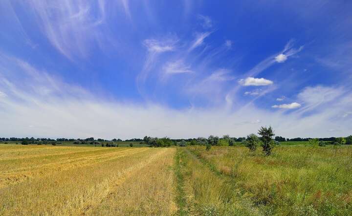 Grunty należące do dwóch dużych przedsiębiorstw państwowych przeszły w ręce firm prywatnych / autor: Pixabay