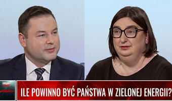 Ile państwa powinno być w nowej energetyce? (WIDEO)