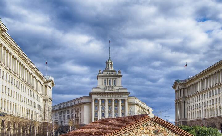 Sofia / autor: pixabay.com