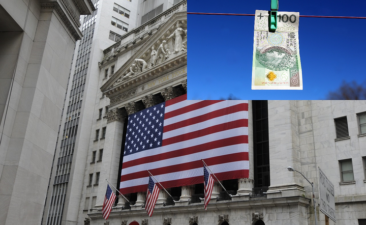 Dane z USA i polska waluta / autor: Pixabay