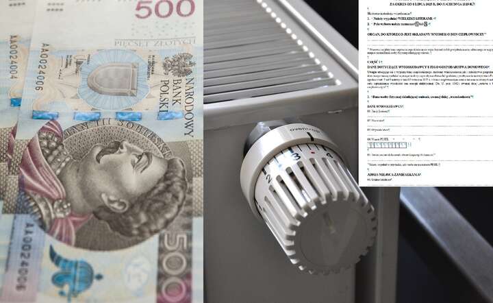 Do wzięcia nawet 3500 zł wsparcia. Jak złożyć wniosek?