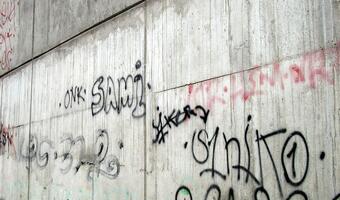 USA podejmuje walkę z gangami imigrantów