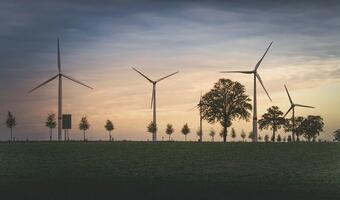 Chiny deklarują osiągnięcie neutralności energetycznej
