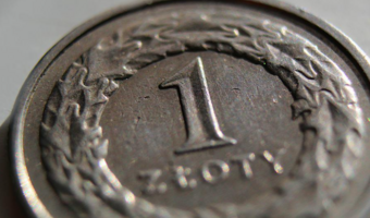 Złoty traci po decyzji RPP