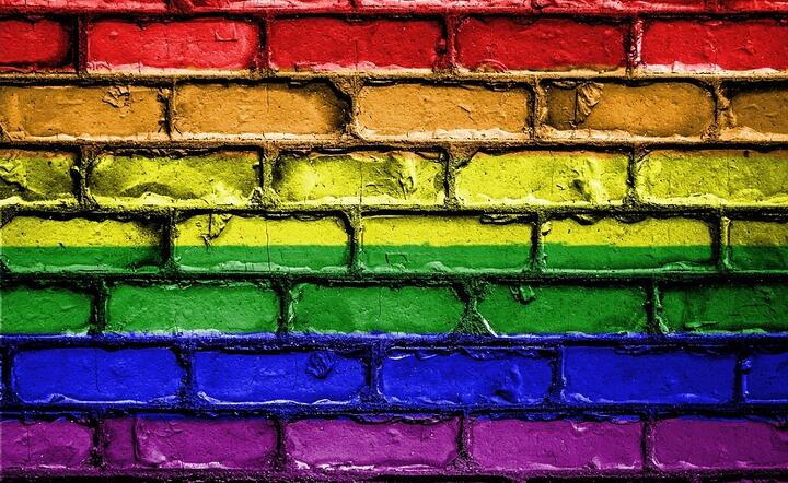 Lekarze będą mogli odmówić leczenia pacjentom których uznają za homofobów, transfobów, rasistów itp. / autor: fot. Pixabay