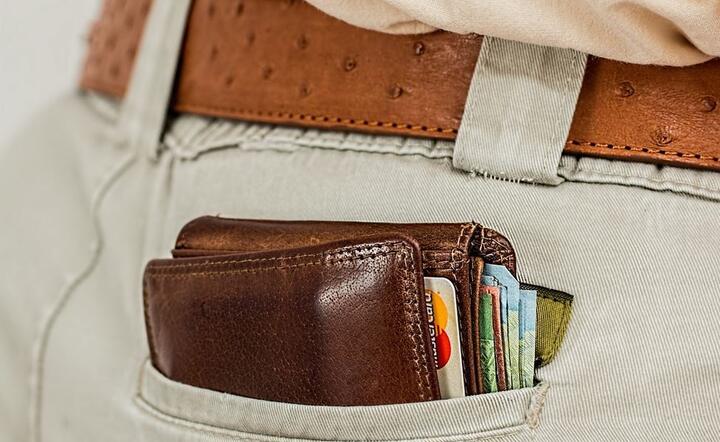Portfel / autor: Pixabay