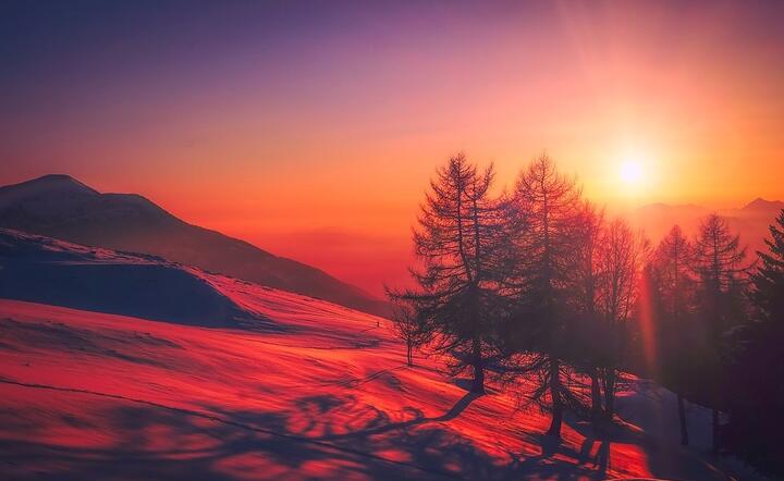 autor: fot. Pixabay