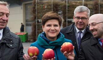 Beata Szydło: "Zależy nam na rozwoju firm"
