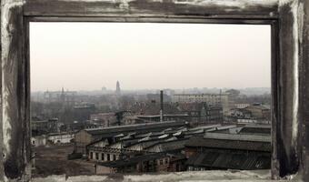 KHW i PGG będą połączone - wznowiono konsultacje