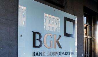 BGK pomógł 700 podmiotom ekonomii społecznej