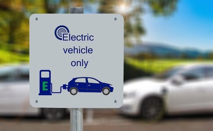 Stella Terra! Ten elektryk podbije świat?