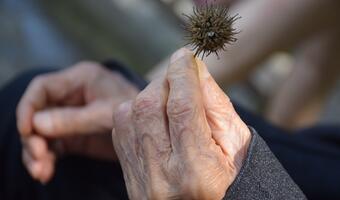 "Twarze depresji": 1,5 tys. seniorów odebrało sobie życie