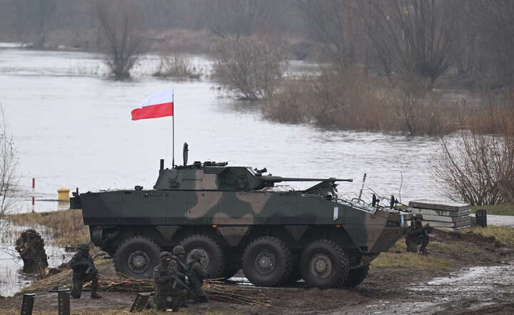 Kołowy transporter opancerzony Rosomak podczas ćwiczeń NATO pod kryptonimem DRAGON 24 w Korzeniewie, 5 bm. W manewrach pod wspólnym kryptonimem STEADFAST DEFENDER-24 (STDE-24), które odbywają się głównie w Europie Środkowej, bierze udział ok. 90 000 żołnierzy ze wszystkich państw NATO oraz Szwecji / autor: PAP/Adam Warżawa